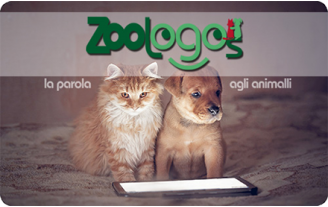 Gift Card Zoologos Carta Regalo