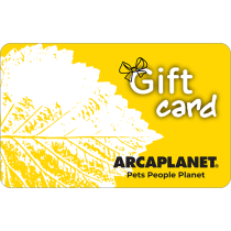 Gift Card Winner