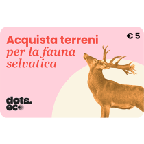 Gift Card Rinascente