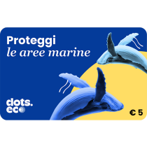 Gift Card Rinascente