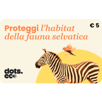 Gift Card Rinascente