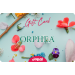 Gift Card Orphea