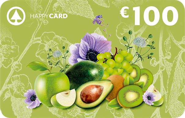 https://www.mygiftcard.it/media/catalog/product/cache/8/image/9df78eab33525d08d6e5fb8d27136e95/g/i/gift_card_despar_100_1.png
