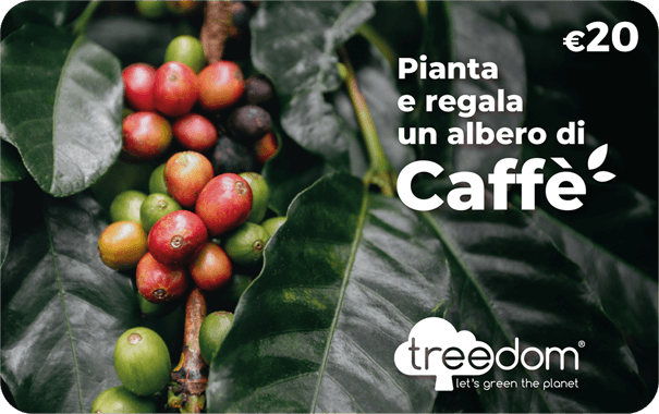 Gift Card Treedom Albero di Caffè €20