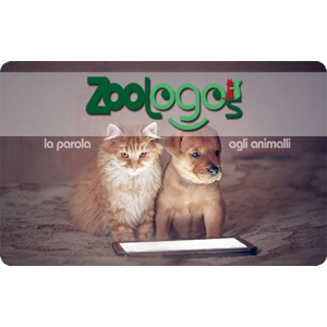 Gift Card Zoologos Carta Regalo